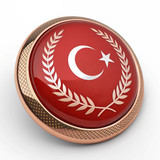 Türkiye Bayrağı Ayyıldız Resimleri V010120260453 N 173