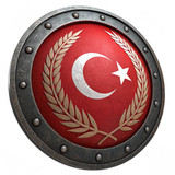 Türkiye Bayrağı Ayyıldız Resimleri V010120260453 N 179