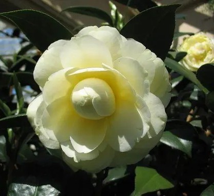 rgkbs 512.jpg