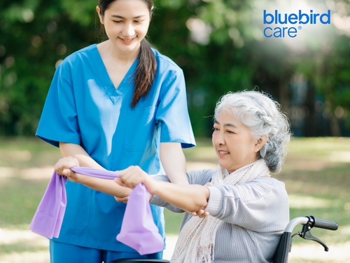 Caring Home Companion Support for Seniors in Barnet.png