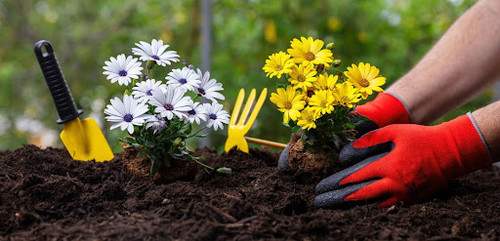 Planting Seasonal Flowers in Overland Park – Book Professional Flower Bed Refresh Today.jpg