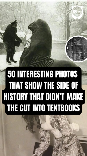 0646e9d0 d8c4 46d3 9a4f e711d5915170.png