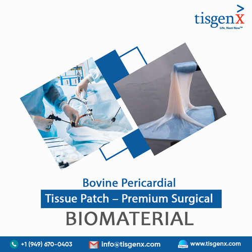 Bovine Pericardial Tissue Patch – Premium Surgical Biomaterial.jpg