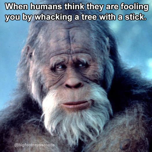 605797648 1457150293085432 1939240613963169473 n.jpg