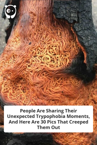 d0c997be 8e79 4fcc a861 03fdb5eb5722.png