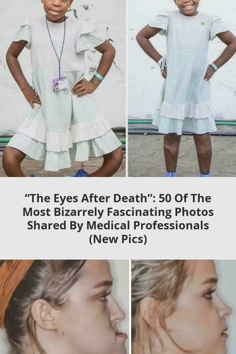 6e6a98dd 1bec 4717 8d1c 1988f2fe8543.png