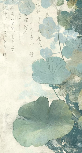 清荷书.png