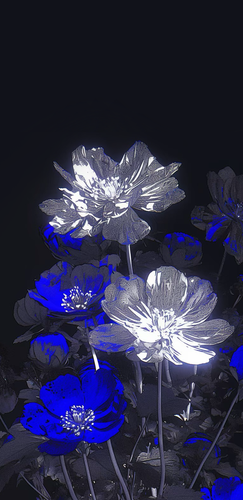 Image 1760204124186.png