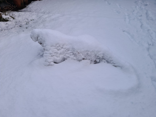 Snowmodo dragon day 2