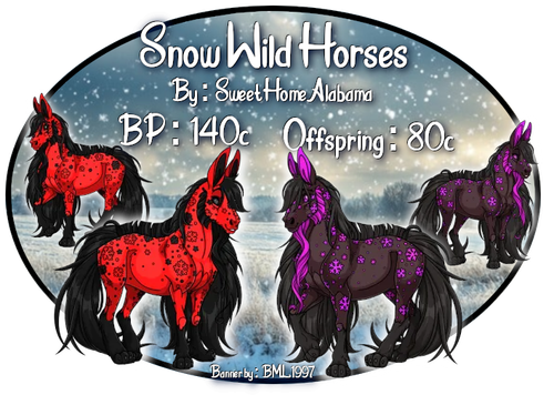 snow wild horses.png
