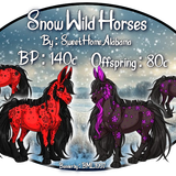 snow wild horses