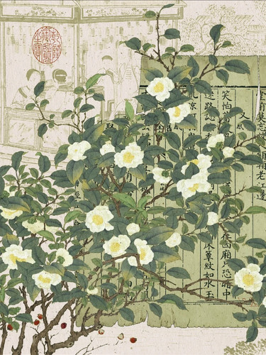 当年的苏轼有多豁达？ 5 盐巴岛 来自小红书网页版.jpg