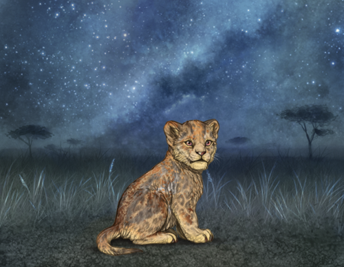 Screenshot 2026 01 03 at 11.44.08 AM.png