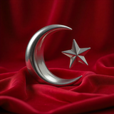 Türkiye Bayrağı Ayyıldız Resimleri V020120262128 N 104