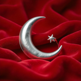 Türkiye Bayrağı Ayyıldız Resimleri V020120262128 N 98