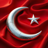 Türkiye Bayrağı Ayyıldız Resimleri V020120262128 N 114