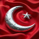 Türkiye Bayrağı Ayyıldız Resimleri V020120262128 N 112