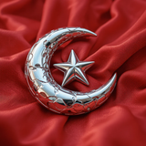 Türkiye Bayrağı Ayyıldız Resimleri V020120262128 N 132