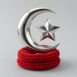 Türkiye Bayrağı Ayyıldız Resimleri V020120262128 N 119