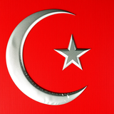 Türkiye Bayrağı Ayyıldız Resimleri V010120262128 N 13