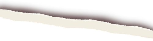 นักค้อด (1).png