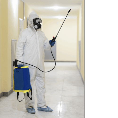 Pest Control Services.gif