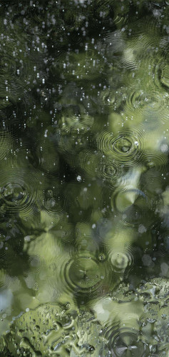 雨露倾珠.jpg