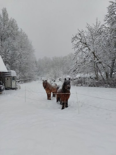 ThorunnEmblaJan2026.jpg