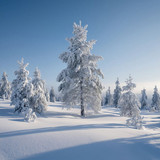  cea939da f215 414d a78b 60064b72b083