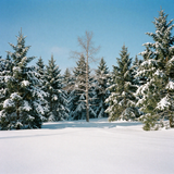 freepik 35mm film photography expansive meadow of fresh sn 52505