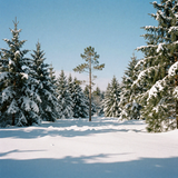 freepik 35mm film photography expansive meadow of fresh sn 52509