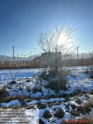 photo 6 2026 01 03 15 47 04.jpg