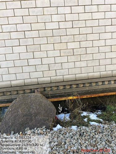 photo 25 2026 01 03 15 47 04.jpg