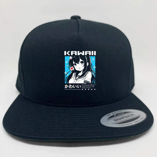 09 Snapback Hat Black.jpg