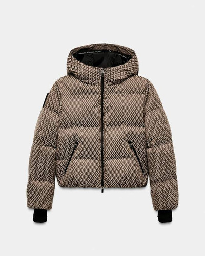 Fotos comprimidas (4).jpg