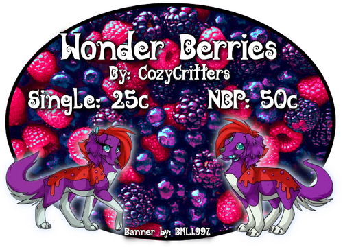 wonder berries