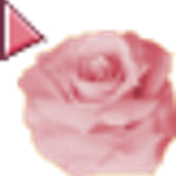 PINKROSE
