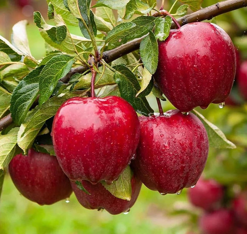 710mIaL7opL. SL1500 .jpg