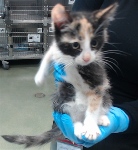 G OTMiSXwAAYZwO?format=png.png