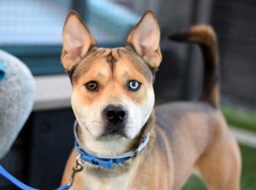 G LiJCEa0AAPEMQ?format=jpg.jpg