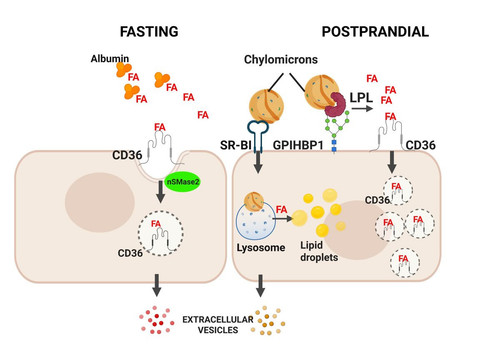 G OGvTsXgAAN0za?format=jpg.jpg