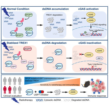 G Oy9koa4AApUBC?format=jpg.jpg