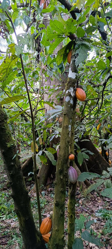 G JjYCKW0AAX1gN?format=jpg.jpg