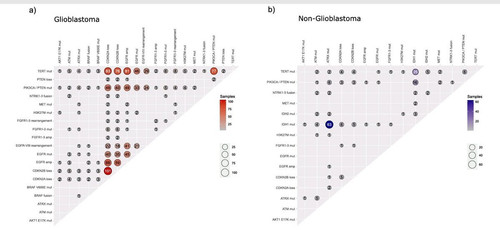 G Ka2icX0AAOP4N?format=jpg.jpg