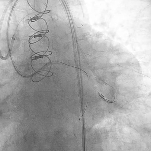 G QoIxEaYAAHwlm?format=jpg.jpg