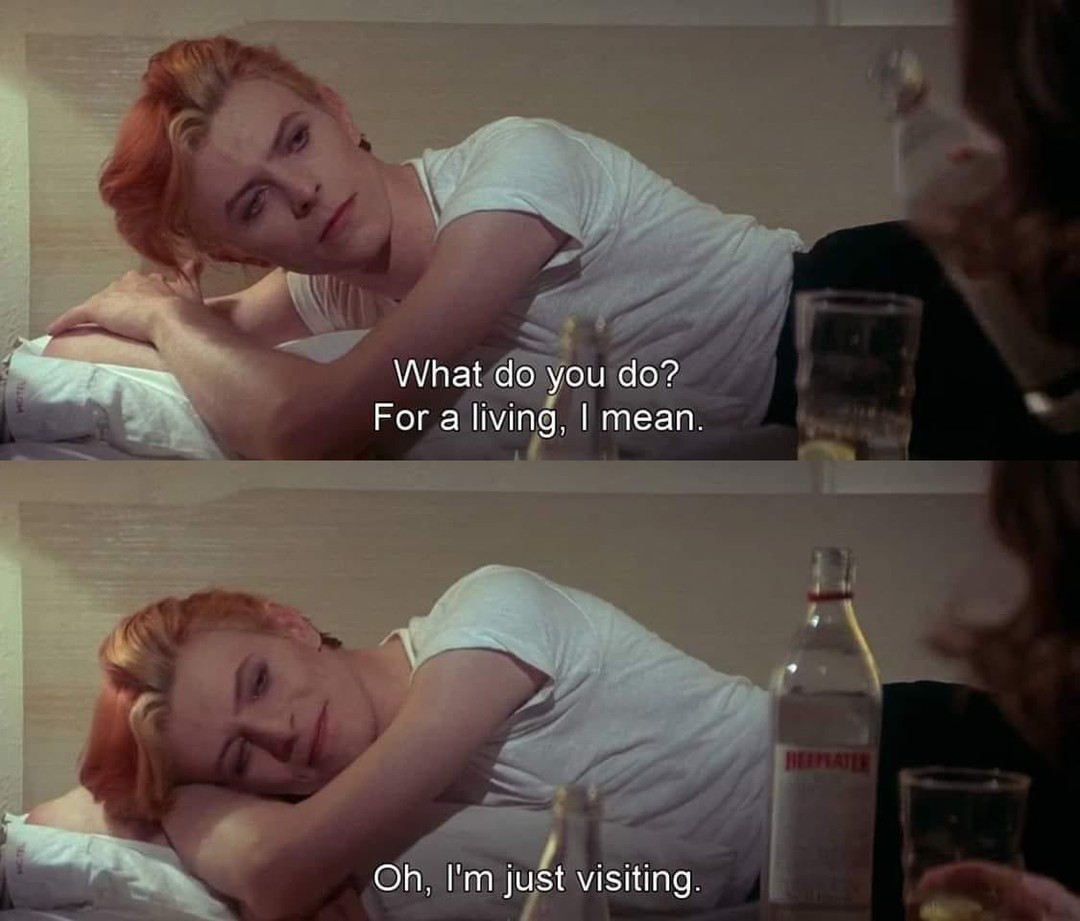 [Image: fk0wgi7.jpg]