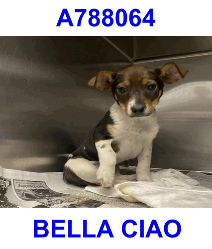 G QkBuXWYAE0NFV?format=jpg.jpg