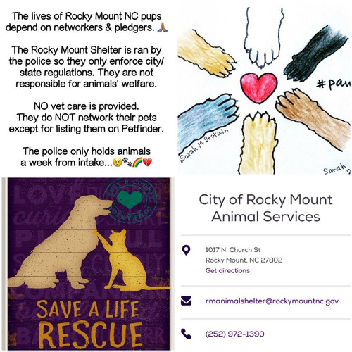 G K8ymlWQAA755v?format=jpg.jpg