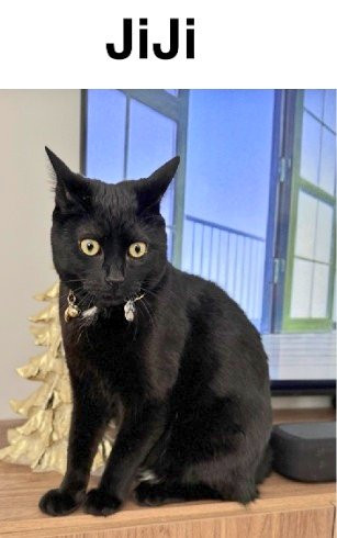 G RCAaGWUAA3rbA?format=jpg.jpg