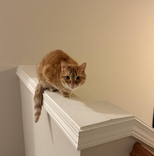 613799891 122269216910185018 8744702379680395542 n.jpg